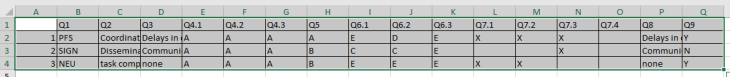 raw data in an excel file